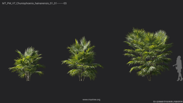 Maxtree Plant Models Vol 7 - Mesh