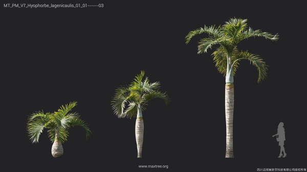 Maxtree Plant Models Vol 7 - Mesh