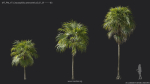 Maxtree Plant Models Vol 7 - Mesh