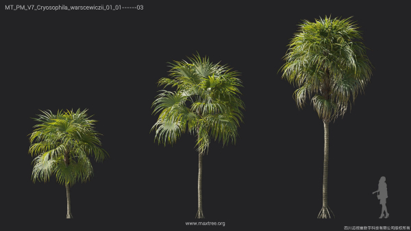 Maxtree Plant Models Vol 7 - Mesh