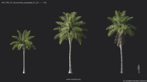 Maxtree Plant Models Vol 7 - Mesh