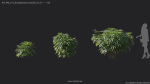 Maxtree Plant Models Vol 7 - Mesh