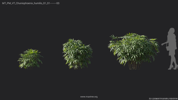 Maxtree Plant Models Vol 7 - Mesh