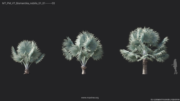 Maxtree Plant Models Vol 7 - Mesh