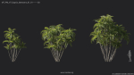 Maxtree Plant Models Vol 7 - Mesh