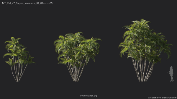 Maxtree Plant Models Vol 7 - Mesh