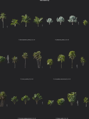 maxtree-plant-models-vol-7-mesh-3d-model-a89620e1df