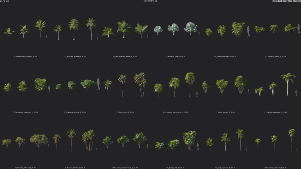 Maxtree Plant Models Vol 7 - Mesh