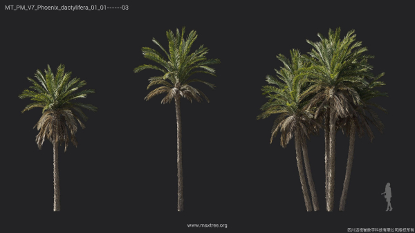 Maxtree Plant Models Vol 7 - Mesh