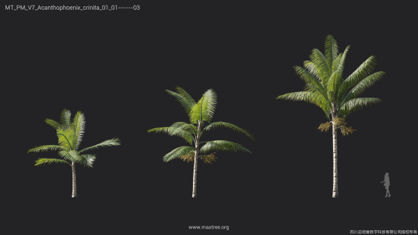 Maxtree Plant Models Vol 7 - Mesh