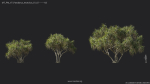 Maxtree Plant Models Vol 7 - Mesh