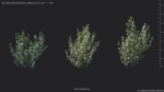 Maxtree Plant Models Vol 84 - Mesh