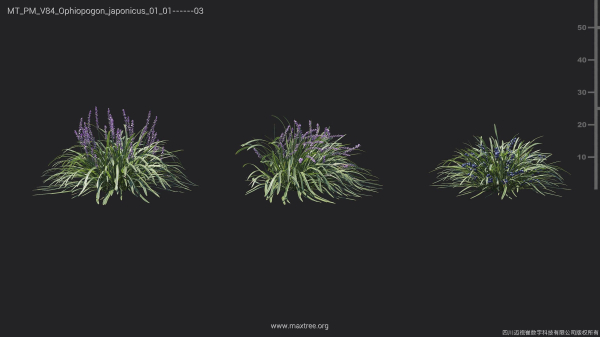 Maxtree Plant Models Vol 84 - Mesh