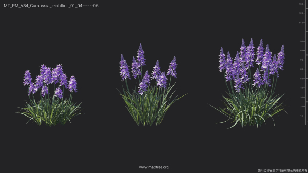 Maxtree Plant Models Vol 84 - Mesh