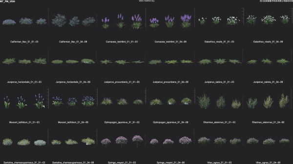 Maxtree Plant Models Vol 84 - Mesh