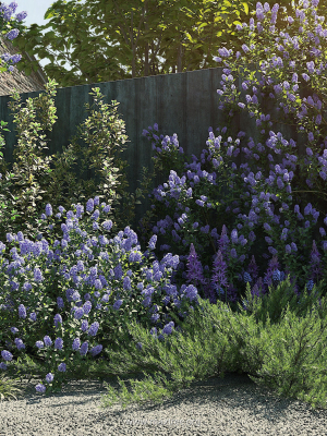 maxtree-plant-models-vol-84-mesh-3d-model-3516d5312a