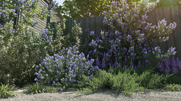 Maxtree Plant Models Vol 84 - Mesh