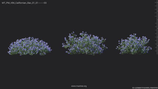 Maxtree Plant Models Vol 84 - Mesh