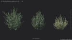 Maxtree Plant Models Vol 84 - Mesh