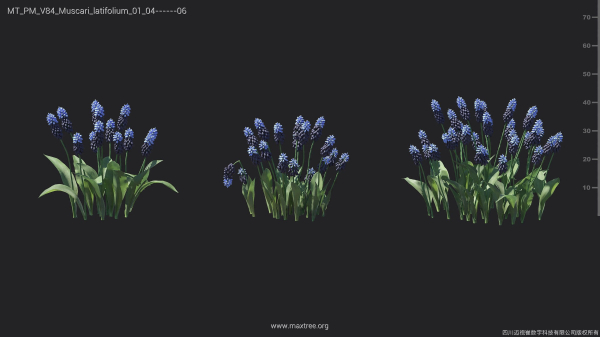 Maxtree Plant Models Vol 84 - Mesh