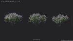 Maxtree Plant Models Vol 84 - Mesh