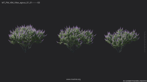 Maxtree Plant Models Vol 84 - Mesh