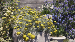 Maxtree Plant Models Vol 84 - Mesh