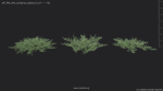 Maxtree Plant Models Vol 84 - Mesh