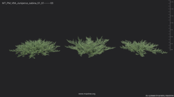 Maxtree Plant Models Vol 84 - Mesh