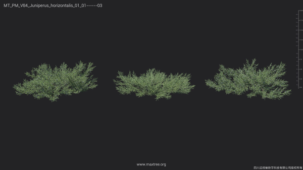 Maxtree Plant Models Vol 84 - Mesh