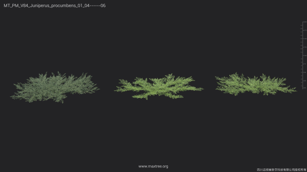 Maxtree Plant Models Vol 84 - Mesh