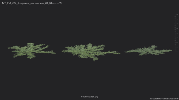 Maxtree Plant Models Vol 84 - Mesh