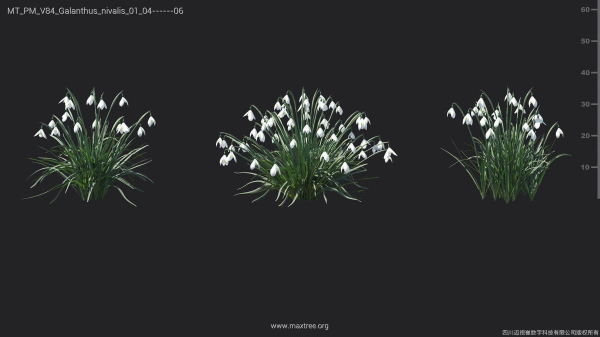 Maxtree Plant Models Vol 84 - Mesh