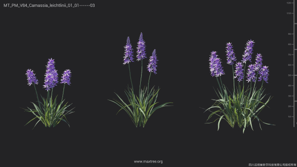 Maxtree Plant Models Vol 84 - Mesh