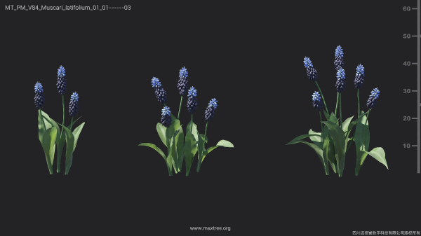 Maxtree Plant Models Vol 84 - Mesh