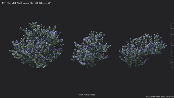 Maxtree Plant Models Vol 84 - Mesh
