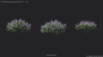 Maxtree Plant Models Vol 84 - Mesh