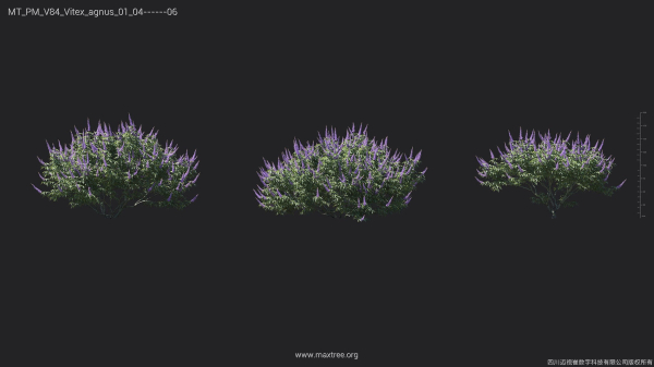 Maxtree Plant Models Vol 84 - Mesh