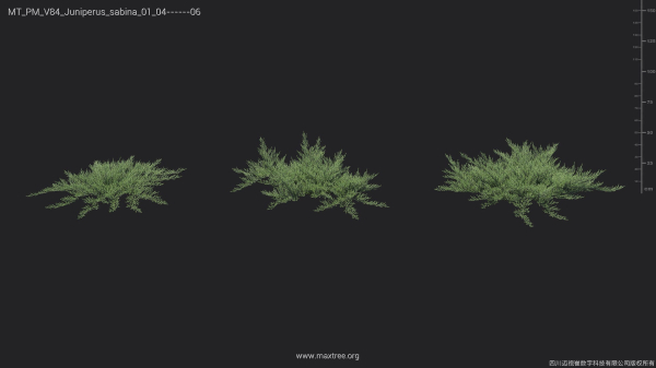 Maxtree Plant Models Vol 84 - Mesh