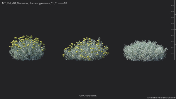 Maxtree Plant Models Vol 84 - Mesh