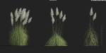 Maxtree Plant Models Vol 9 - Mesh
