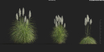 Maxtree Plant Models Vol 9 - Mesh