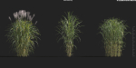 Maxtree Plant Models Vol 9 - Mesh