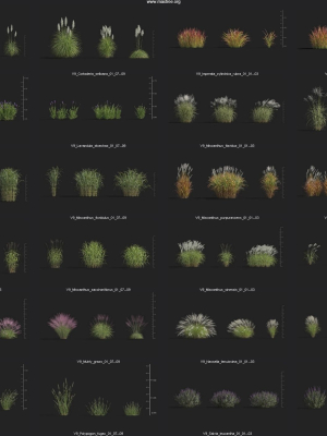 maxtree-plant-models-vol-9-mesh-3d-model-2bd988040e