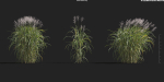 Maxtree Plant Models Vol 9 - Mesh