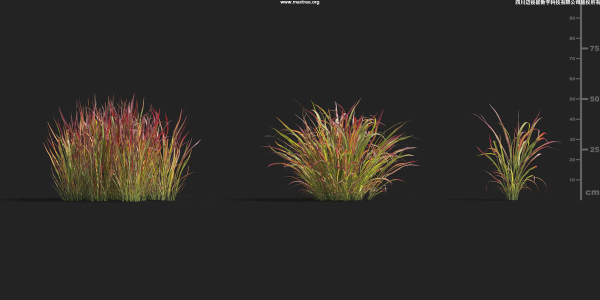 Maxtree Plant Models Vol 9 - Mesh