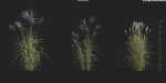 Maxtree Plant Models Vol 9 - Mesh