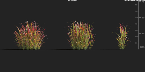 Maxtree Plant Models Vol 9 - Mesh