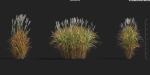 Maxtree Plant Models Vol 9 - Mesh