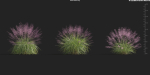 Maxtree Plant Models Vol 9 - Mesh